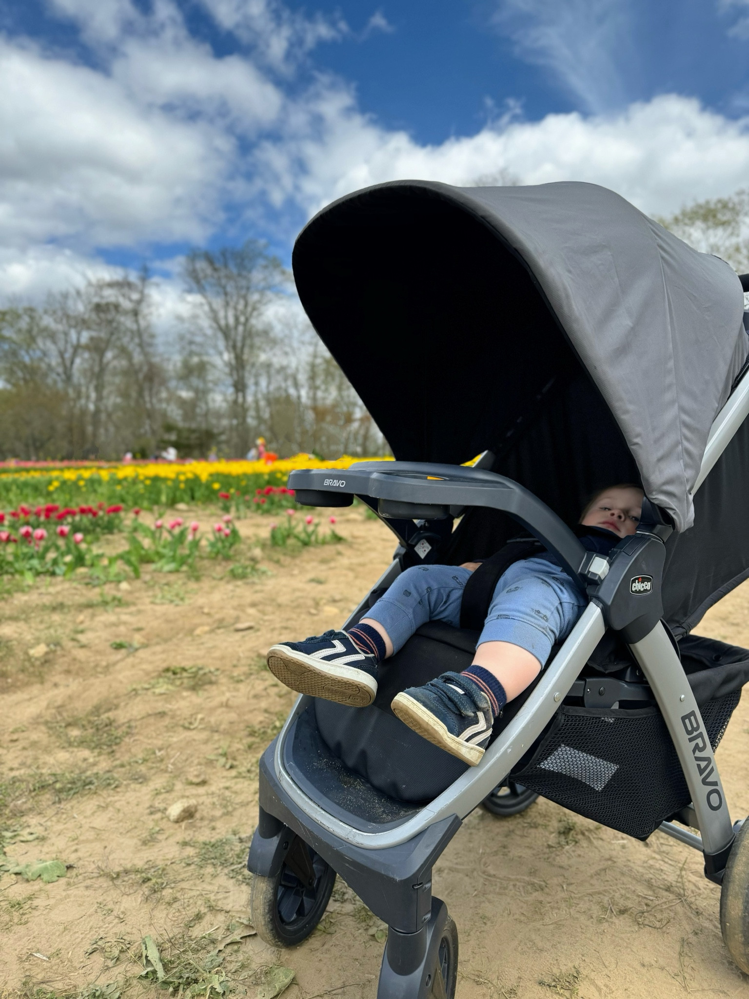 Not many strollers would provide the perfect spot for a spring afternoon nap- even along bumpy paths through the tulips 💐 But Chicco does it right! He fell asleep while we were still strolling along! 

#LTKbaby #LTKbump #LTKkids