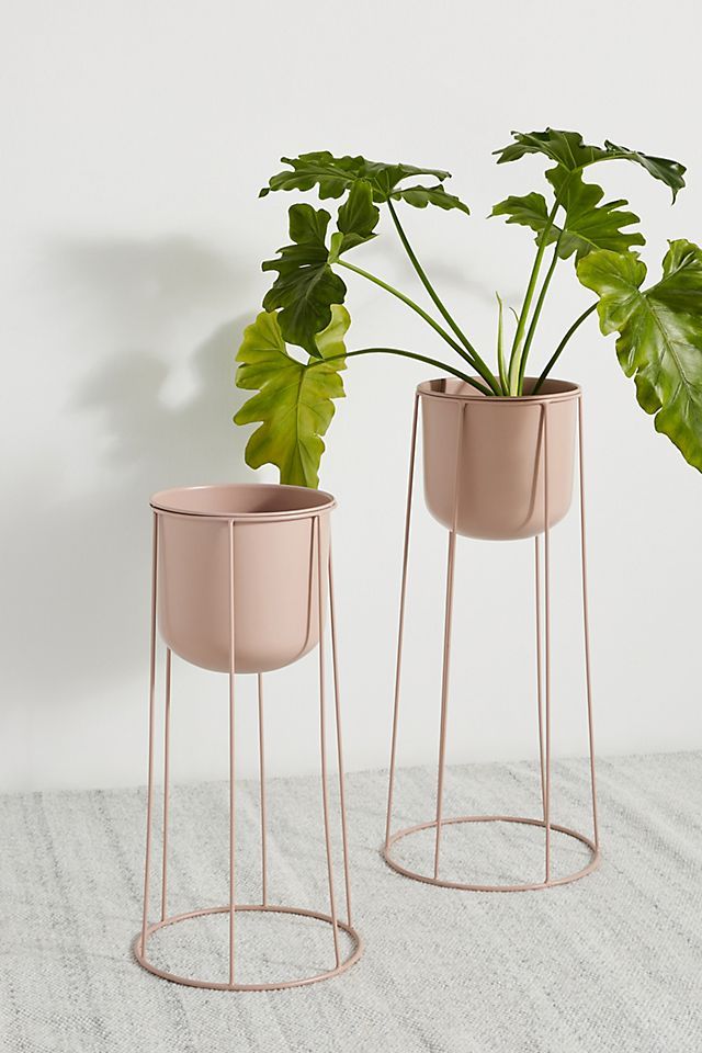 Celeste Plant Stand | Anthropologie (US)