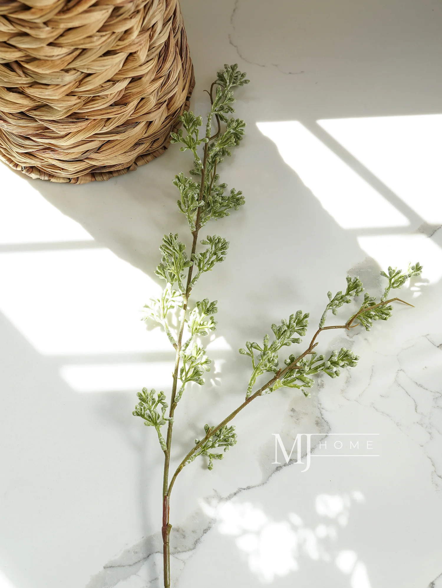 Powdered Green Eucalyptus Berry Stem | MJHome