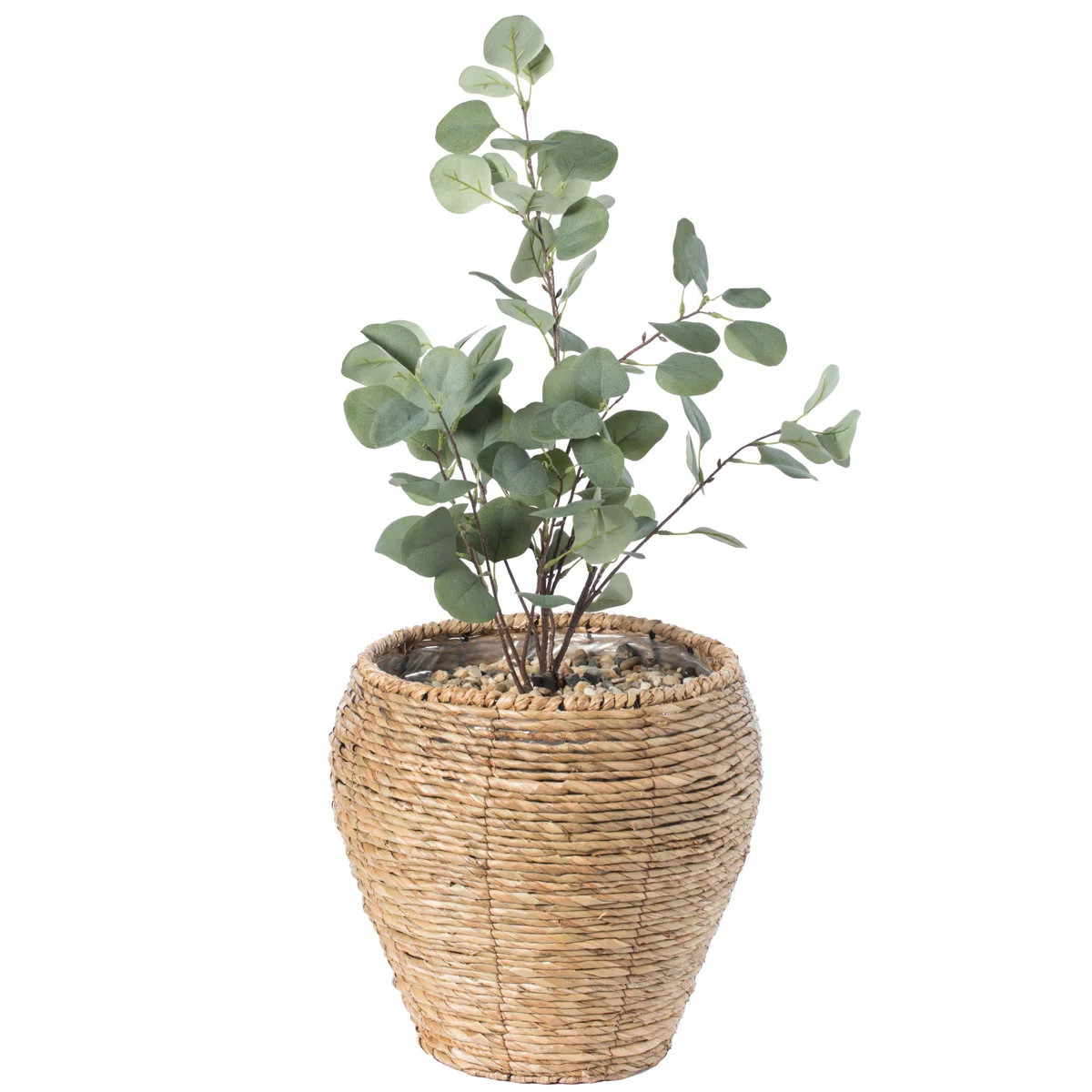Mckee Pot Planter | Wayfair North America