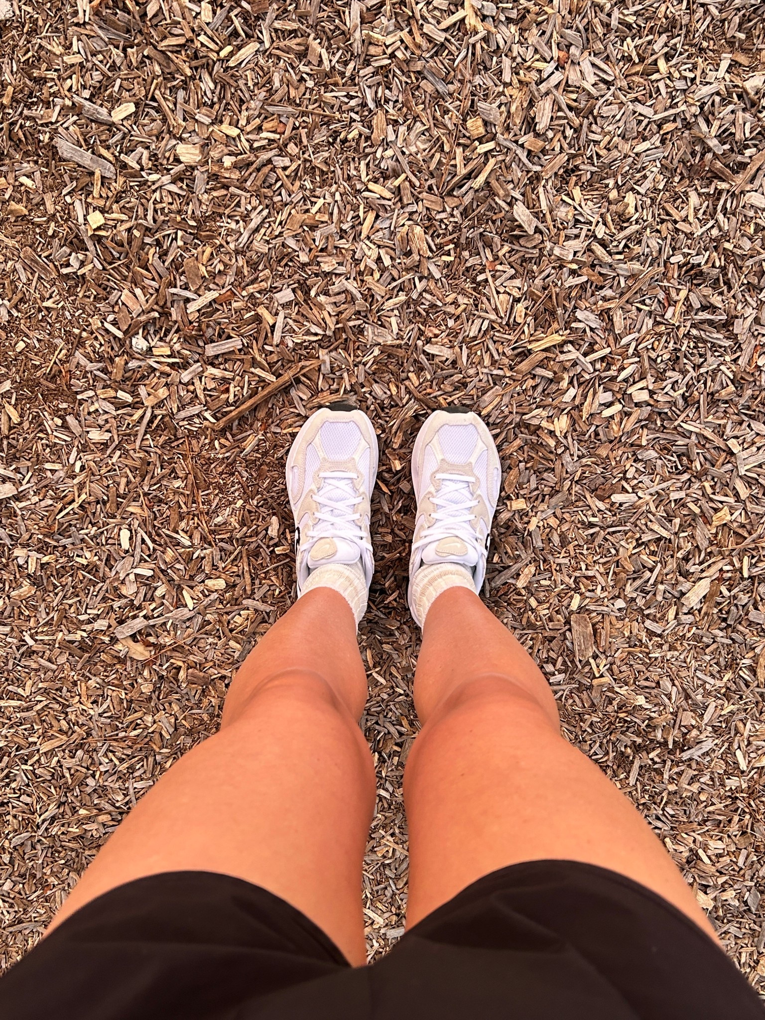 New Sneakers for a walk in the park. Nike AL8