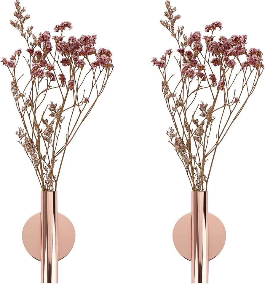 JUXYES Pack of 2 Wall Flower Vase Tube Metal Flower Vase with Sticker, Modern Dried Flower Holder... | Amazon (US)