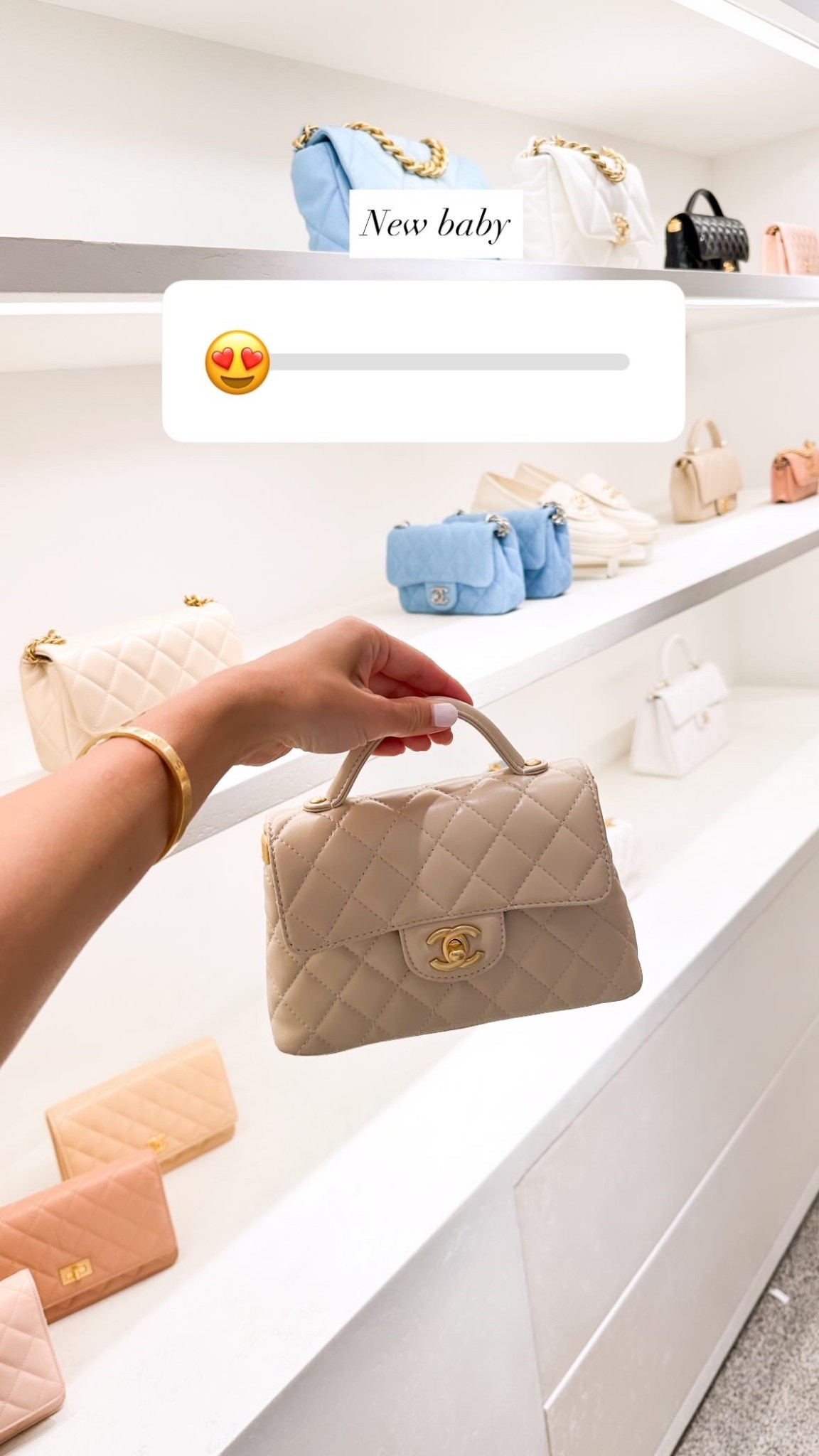 Chanel Spring Summer 25 bag. 

#LTKSeasonal #LTKItBag #LTKStyleTip