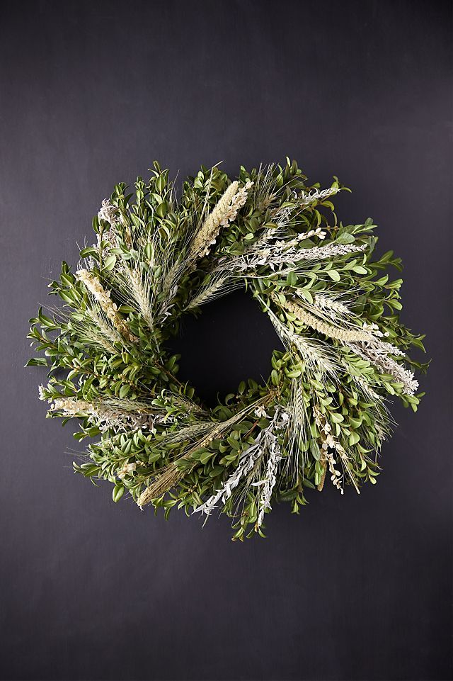 Fresh Boxwood + Larkspur Wreath | Anthropologie (US)