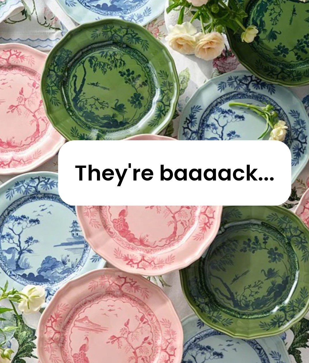 The prettiest plates just in time for entertaining season! I can't say no to chinoiserie plates, especially when they look like Ginori for WAY less.

#LTKHome #LTKOver40 #LTKSeasonal