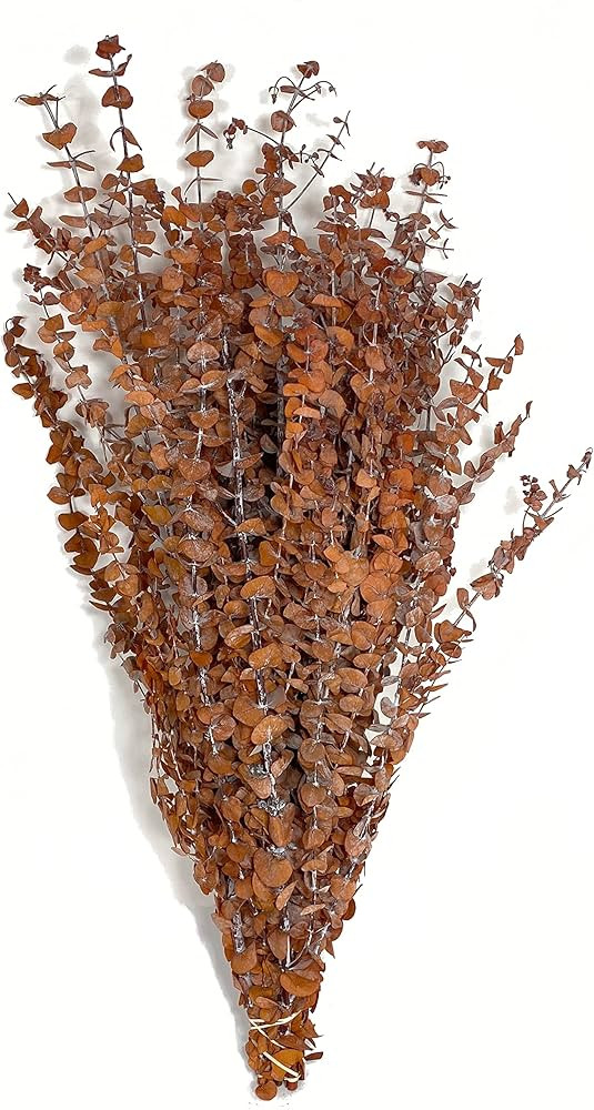 CalCastle Craft California Grown Natural Dried Preserved Eucalyptus Bundle Large 28" Tall Bulk 1 ... | Amazon (US)