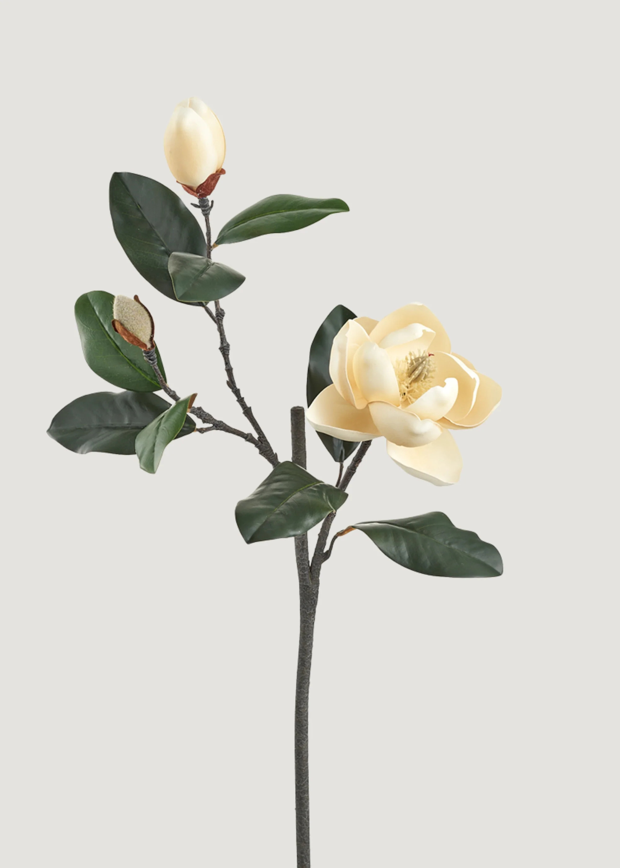 Yellow Blooming Magnolia Branch | Fake Spring Flowers | Afloral | Afloral