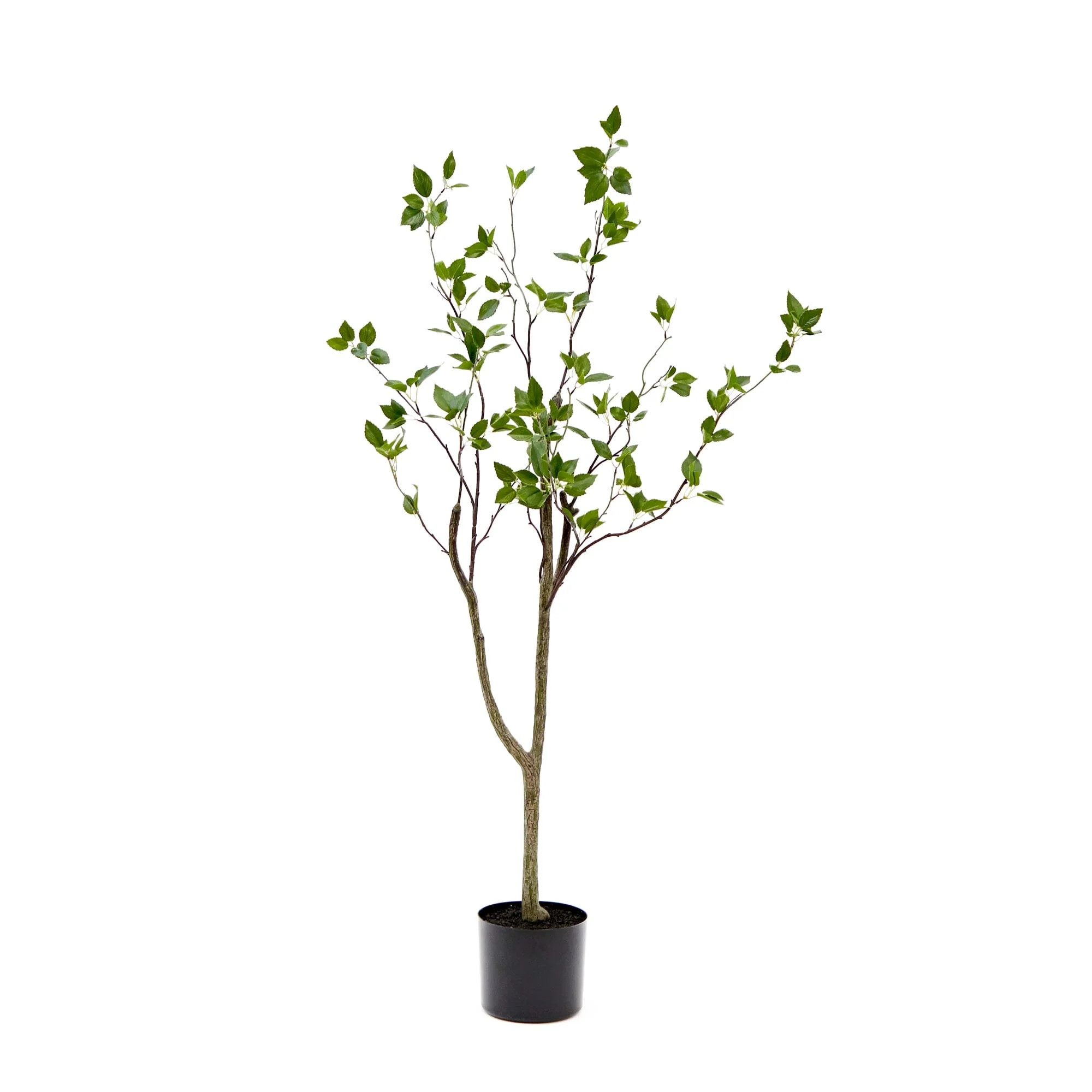 4' Minimalist Citrus Artificial Tree | Nearly Natural | Nearly Natural