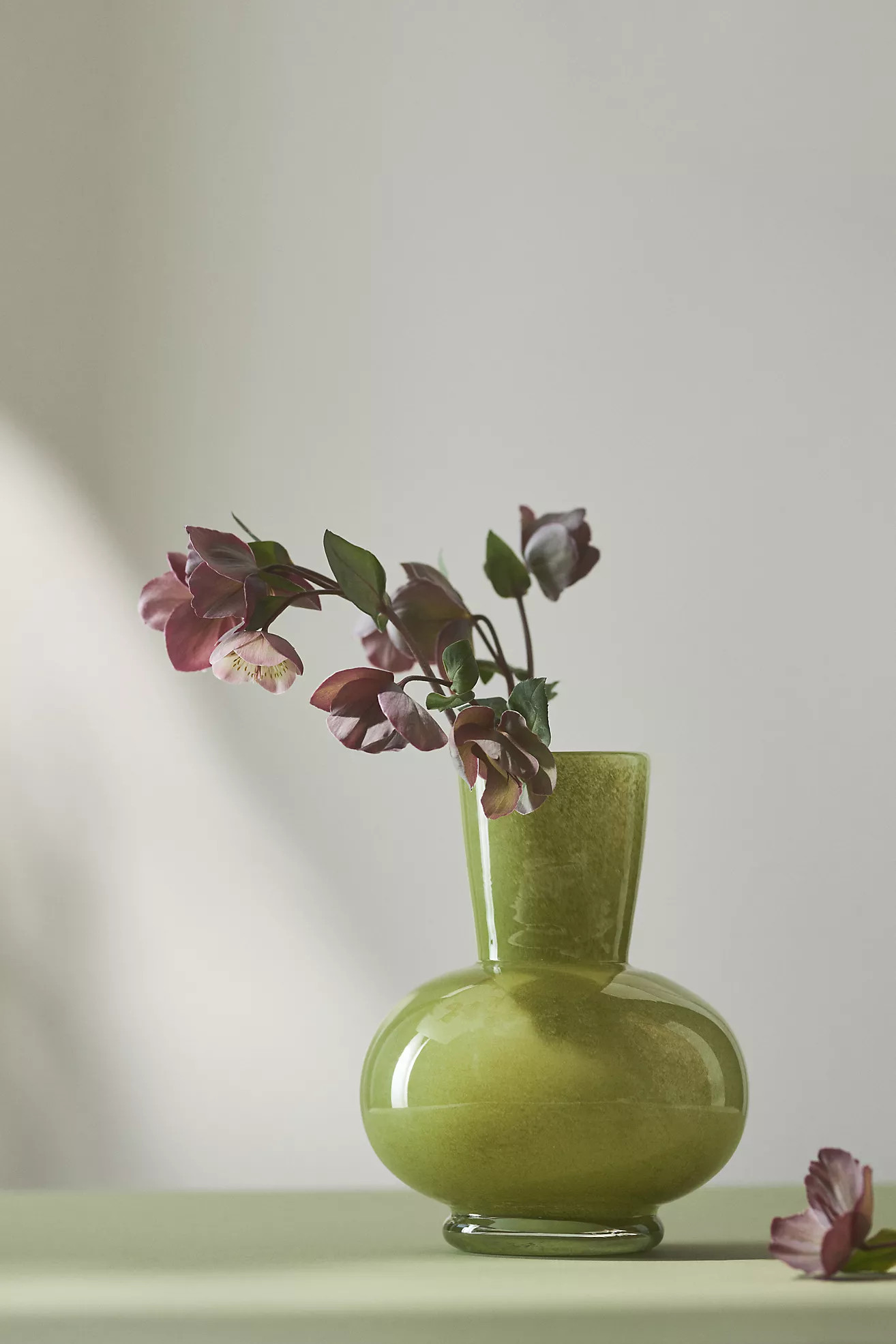 Powder Color Vase | Anthropologie (US)