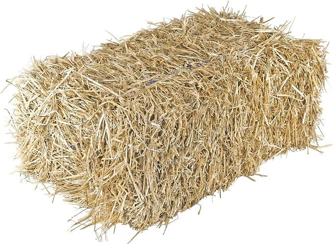 Garden Elements Straw Bale by Shady Creek Farm, Perfect for Fall Decor, Parties, Animal Feed (20-... | Amazon (US)