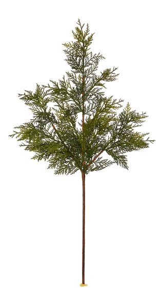 CANVAS Un-Lit Indoor Christmas Decoration Natural Cedar Stem Spray, 36-in | Canadian Tire