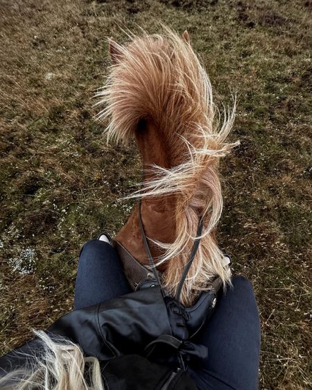 Cowgirl things in Iceland 

#LTKSeasonal #LTKtravel #LTKstyletip