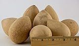 Dried Egg Gourds for Crafting box of 25 | Amazon (US)