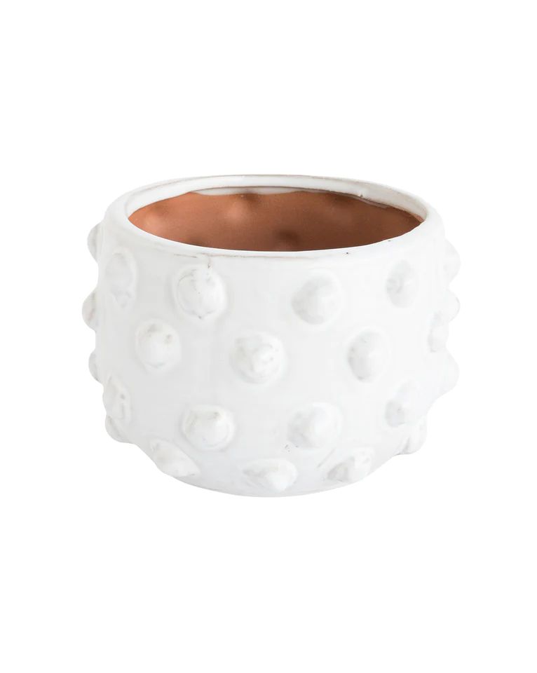 Dotted Terracotta Planter | McGee & Co.