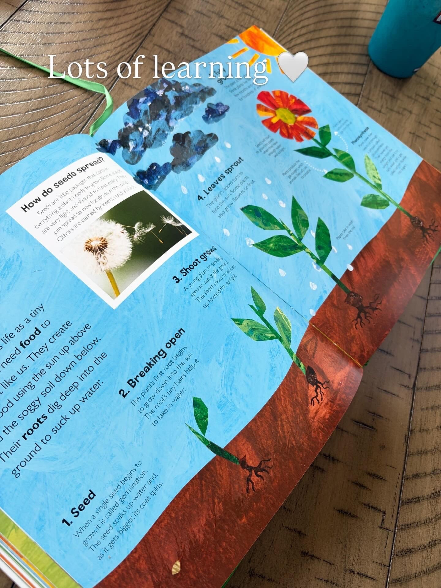 Such a great resource to introduce littles to a little of everything 

#LTKKids #LTKdayinmylife #LTKmomlife