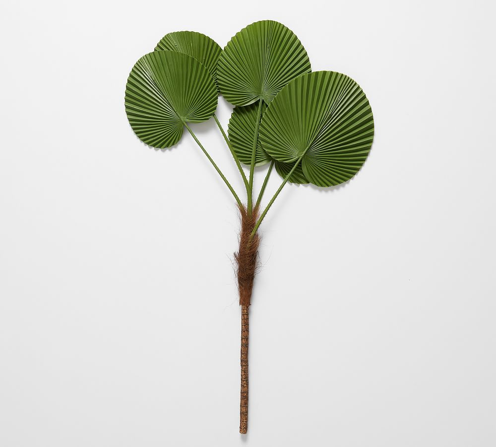Faux Fanned Palm Tree Branch | Pottery Barn (US)