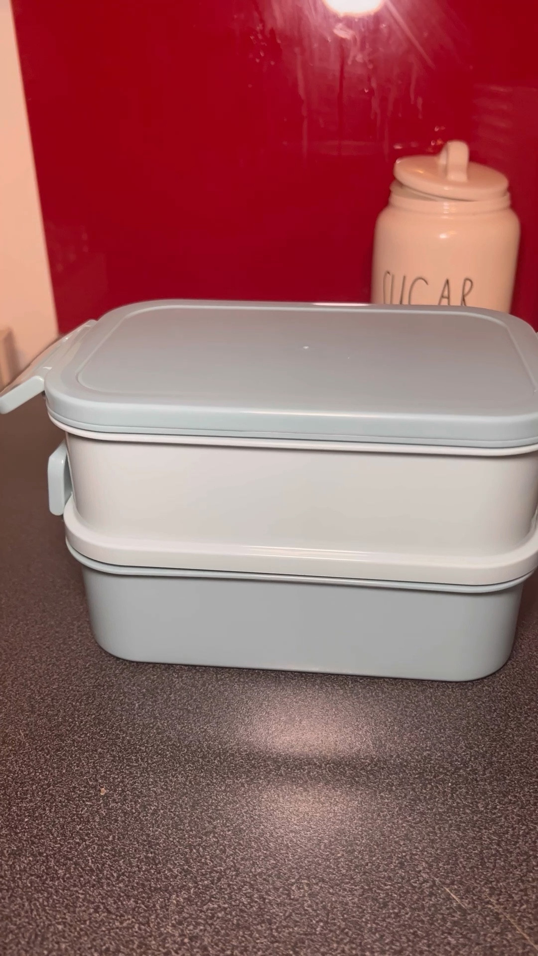  SANOEARTH Lunch Containers for Adults