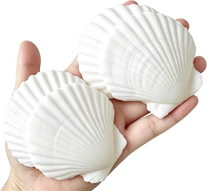 QICQDRAM 30PCS Seashells for Crafts 2''-3'' Scallop Shells for Painting | Amazon (US)
