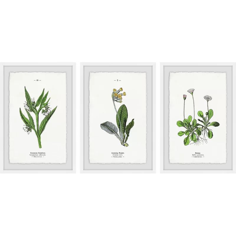'Pulsatilla Flowers Triptych' 3 Piece Framed Graphic Art Print Set | Wayfair North America
