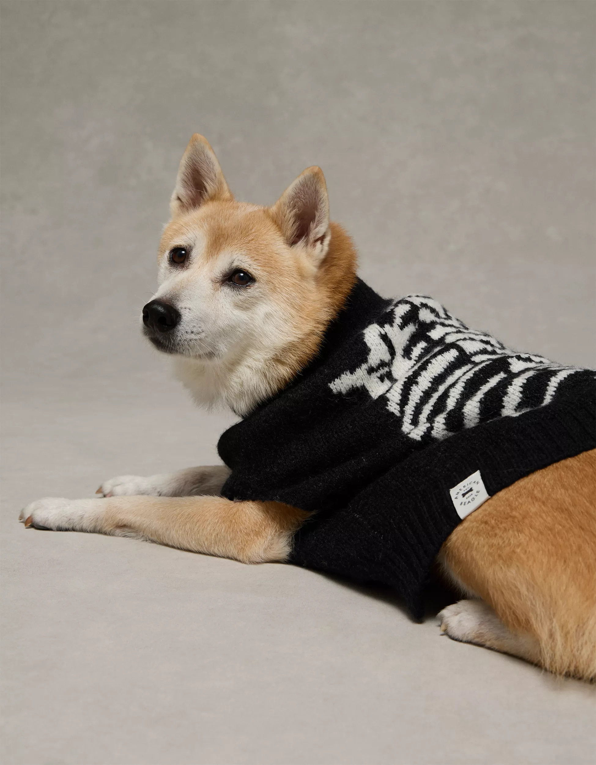 ABO Skeleton Dog Sweater | American Eagle Outfitters (US & CA)