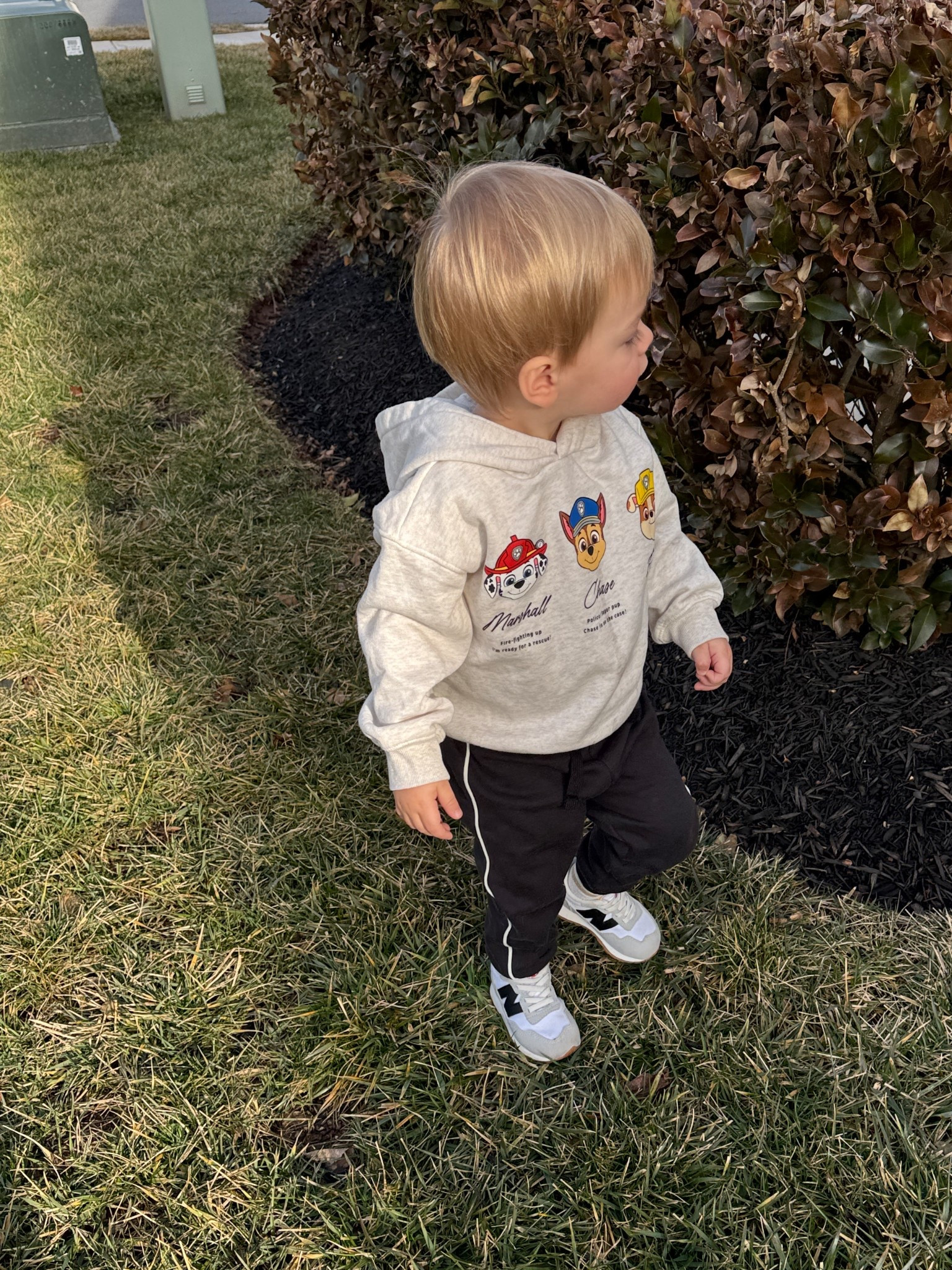Toddler boy outfit 

#LTKmomlife #LTKKids #LTKootd