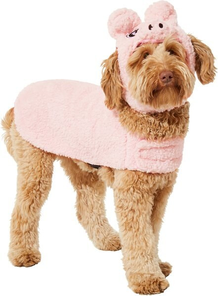 Frisco Pig Dog & Cat Costume | Chewy.com
