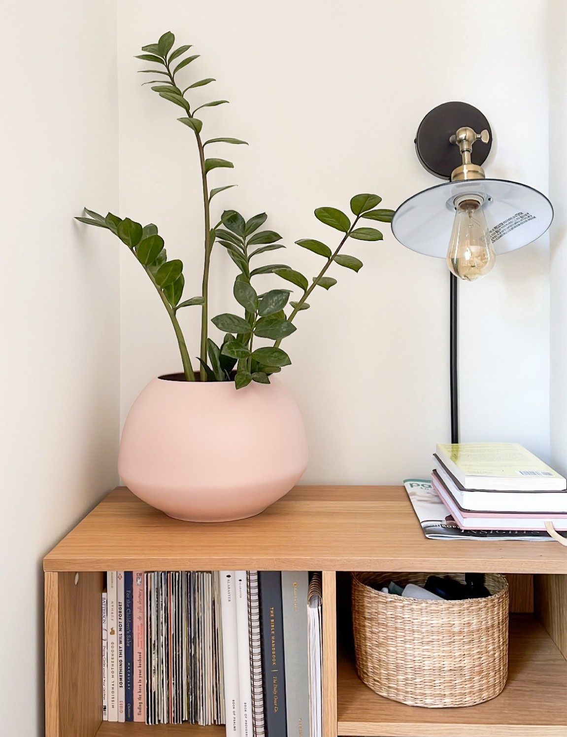 dreamy pink planter pot for my side table 🪴

#LTKhome #LTKSeasonal #LTKunder50