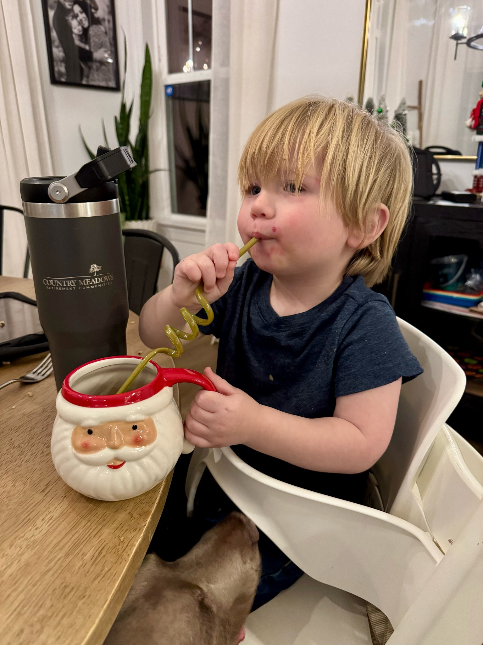 The cutest Santa mugs! Only $5!

Christmas mugs/Santa mugs/holiday mugs

#LTKHoliday #LTKSeasonal #LTKGiftGuide