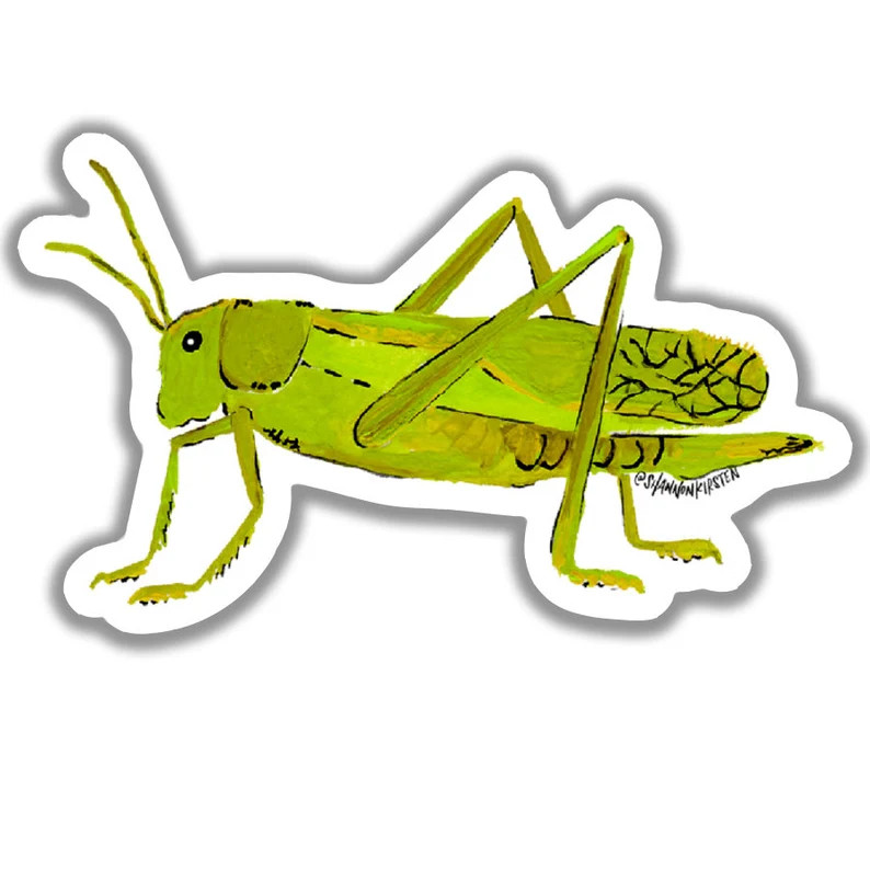 Die Cut Stickers Green Grasshopper Stickers Vinyl Stickers - Etsy | Etsy (US)