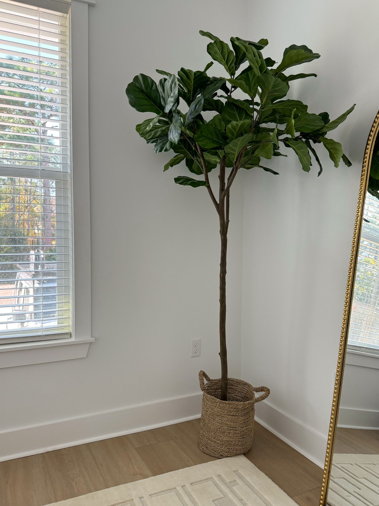 6ft faux fig tree🤍 love the way this looks in our guest room! Perfect neutral accent decor to bring life into the space🌿 

#LTKGiftGuide #LTKhome #LTKstyletip