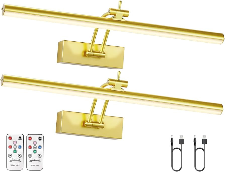 2 Pack Picture Light Battery Operated for Wall, 16" Wireless Display Art Lighting for Painting wi... | Amazon (US)