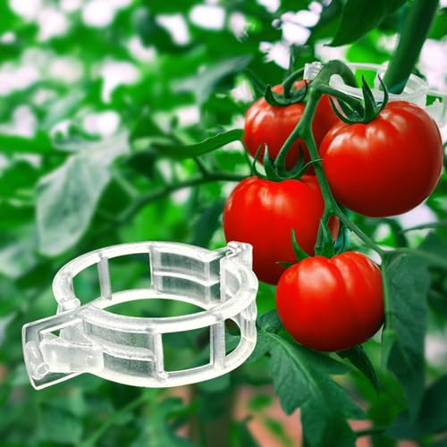 Amazon.com : rinteria Tomato Clips for Climbing Plants 100 Pack, Plant Support Clips & Garden Cli... | Amazon (US)