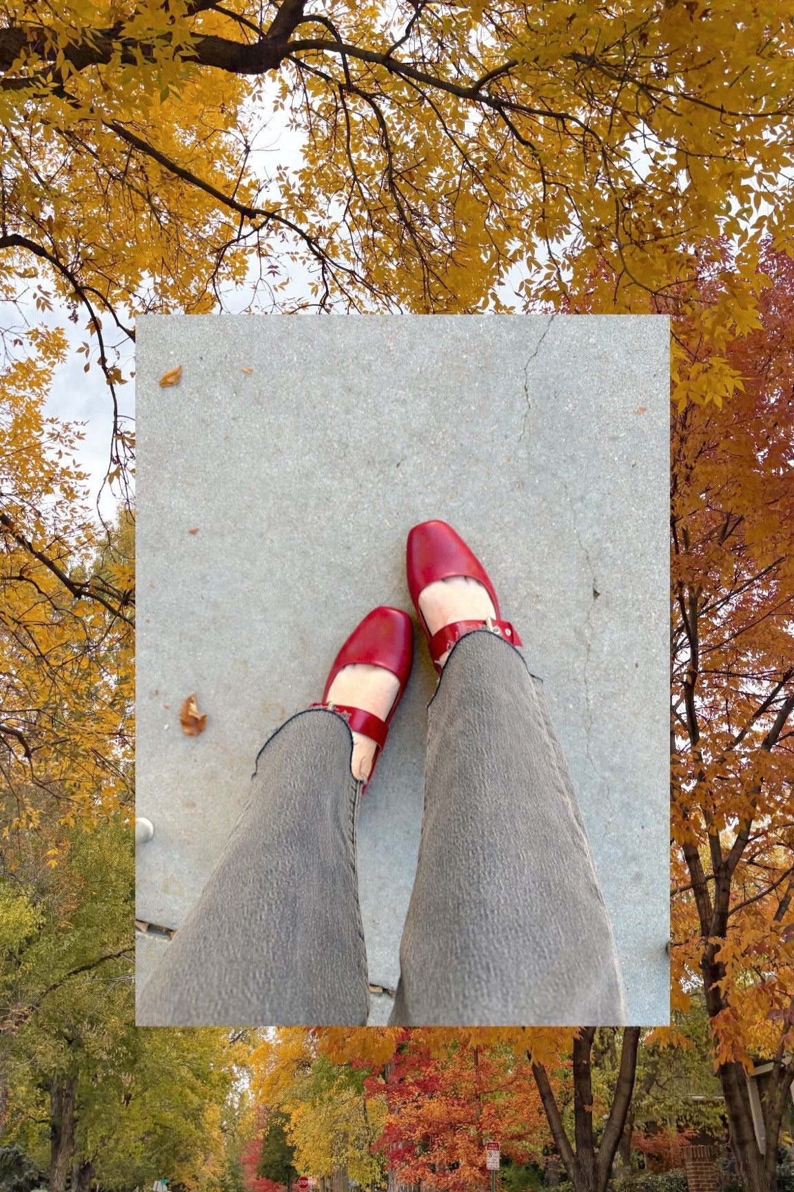 Red Ballet Flats ❤️

#LTKHoliday #LTKSeasonal #LTKFindsUnder50