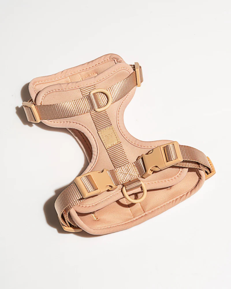 Harness | Wild One