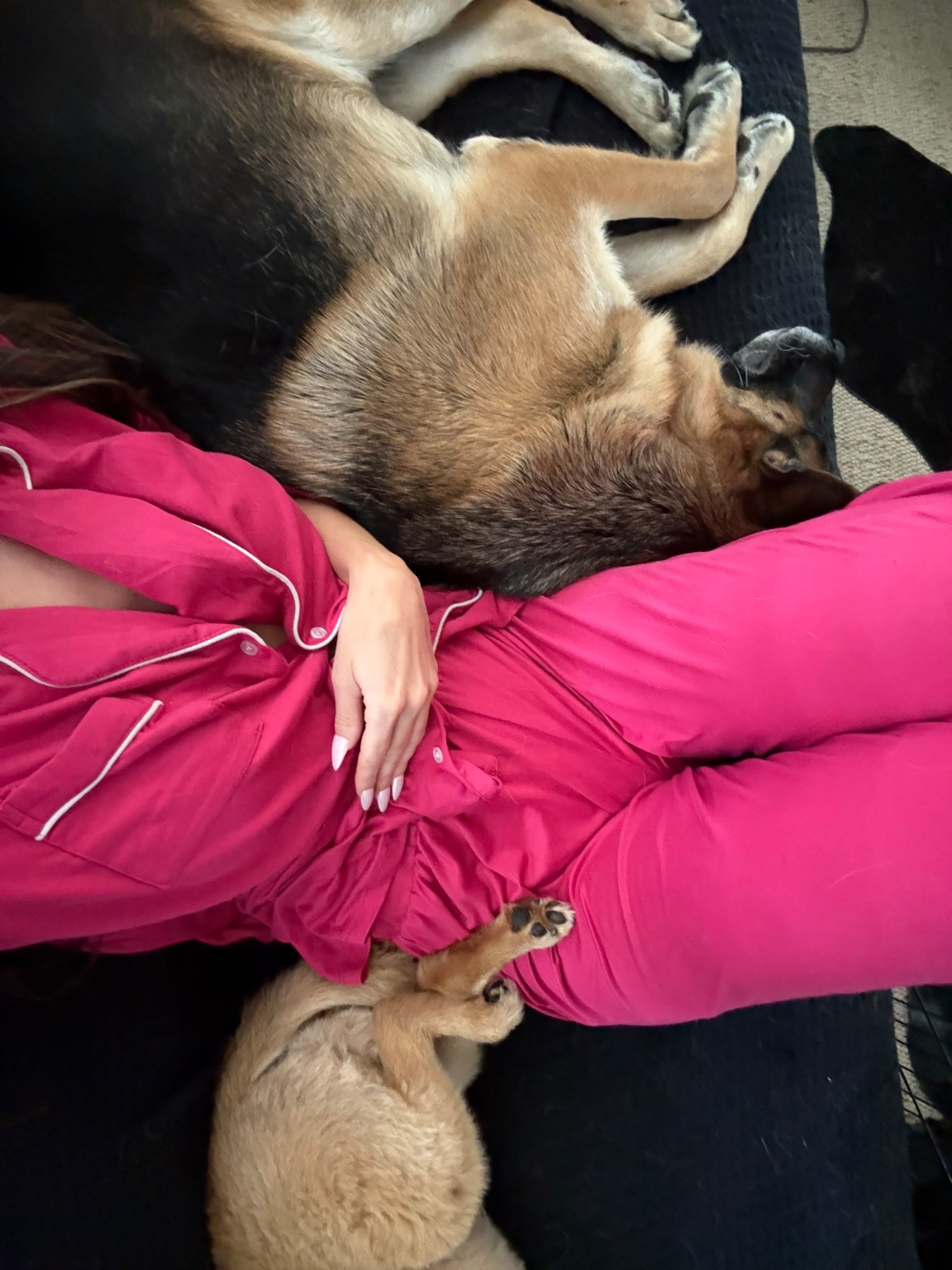 Chilling with my boys ❤️

#LTKStyleTip #LTKFindsUnder100 #LTKFindsUnder50