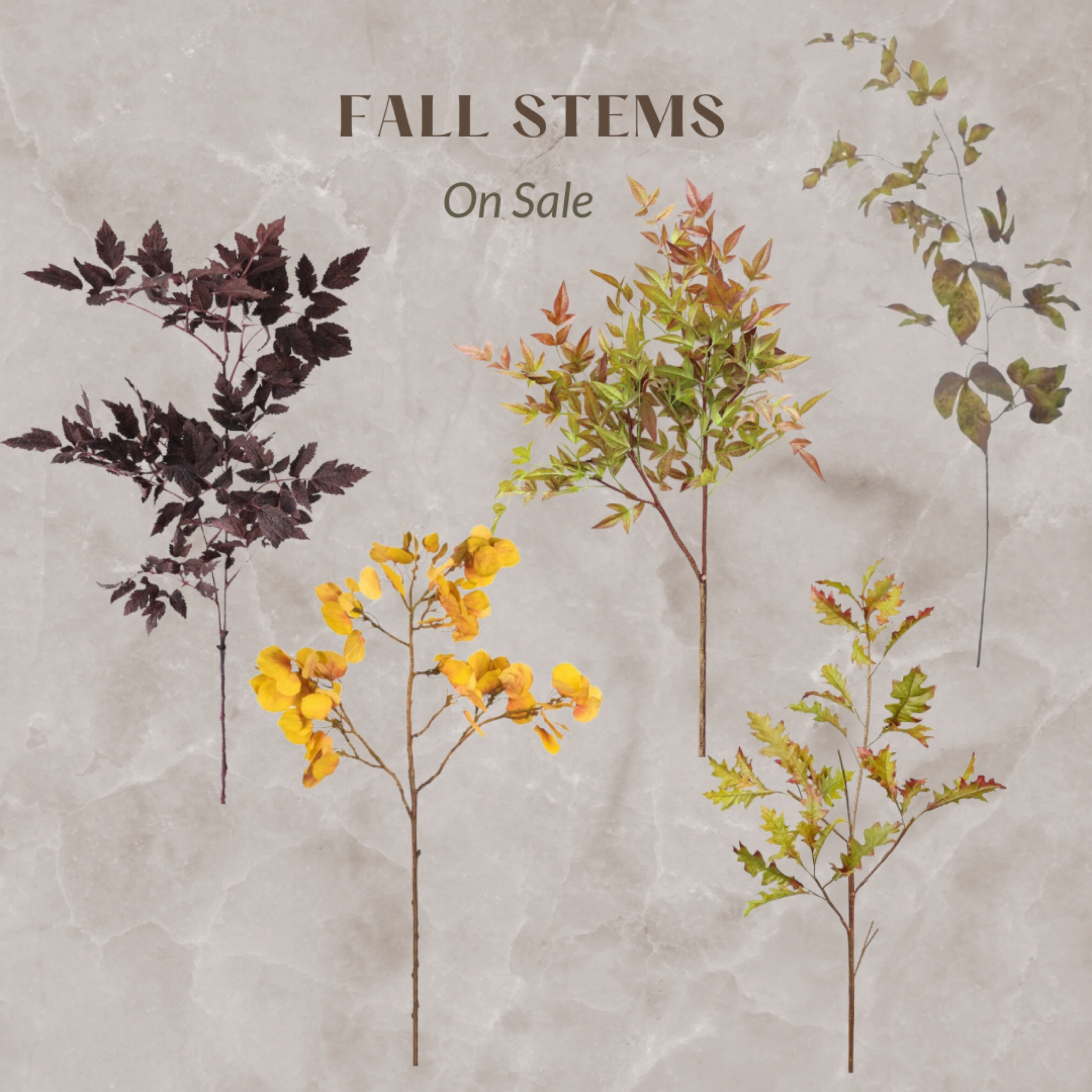 Afloral Fall stems 

#LTKSeasonal #LTKhome #LTKFind