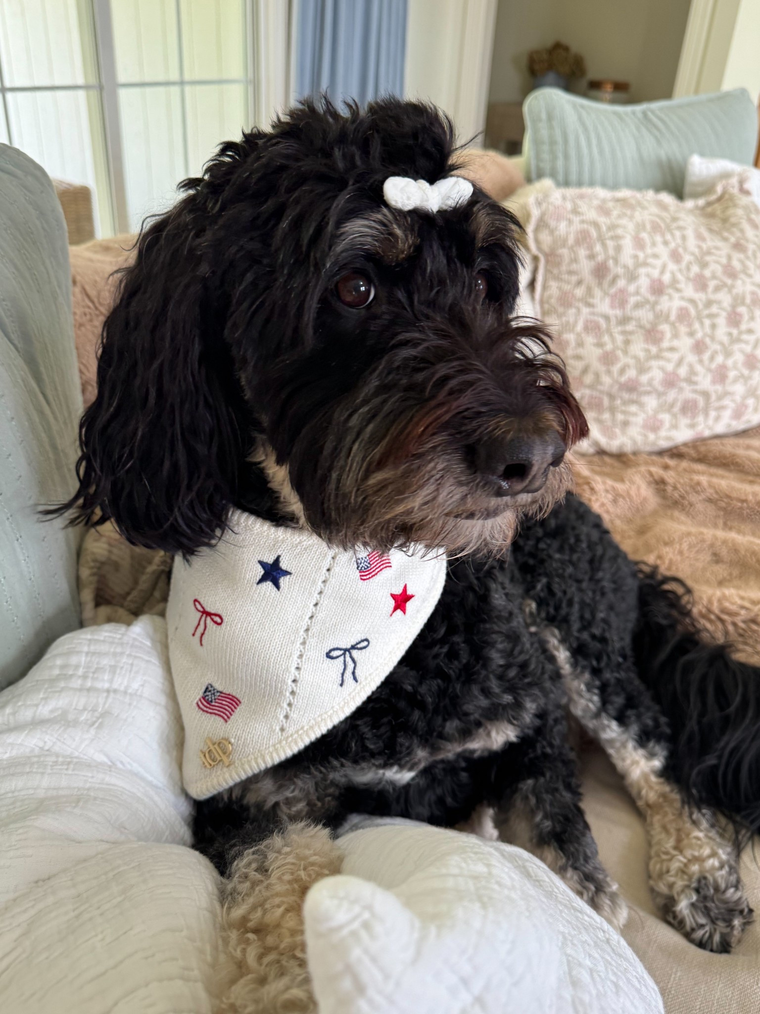 Can’t forget the pups! Americana // Memorial Day // 4th of July // red white & blue // dog bandana // knit sweater bandana // 

#LTKPets #LTKSeasonal #LTKHome