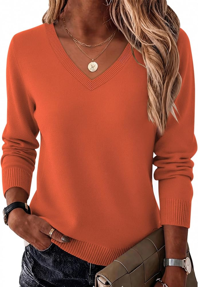 Zeagoo Women's 2026 Fall Long Sleeve Sweaters V Neck Dressy Casual Tops | Amazon (US)