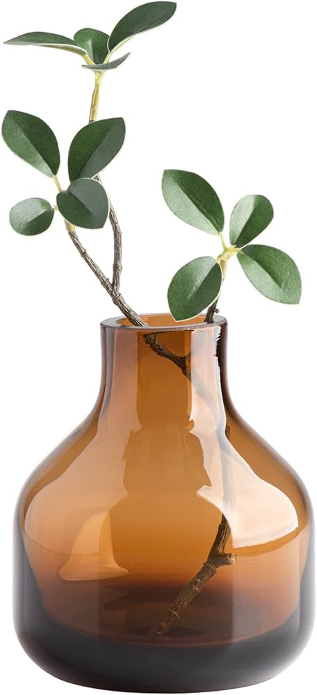 Torre & Tagus Solid Color Round Art Glass Vase for Flowers - 5" Tall Unique Flower Vase, Clear Ha... | Amazon (US)