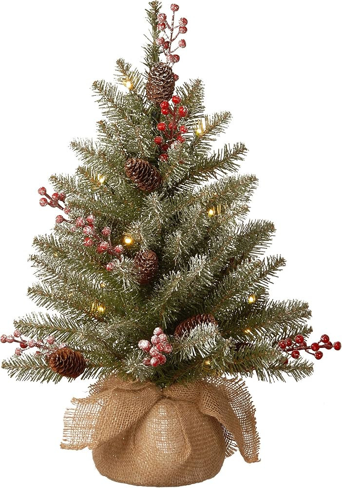 Visit the National Tree Company Store | Amazon (US)