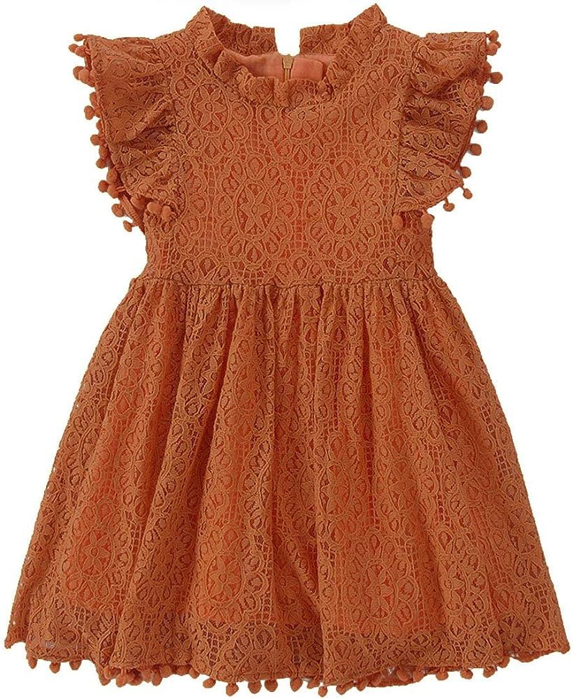 Niyage Toddler Girls Elegant Lace Pom Pom Flutter Sleeve Party Princess Dress | Amazon (US)