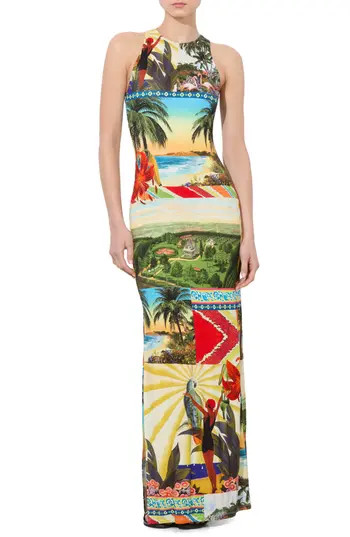 Alice + Olivia Pania Print Sleeveless Maxi Dress in Island Dreams at Nordstrom Rack, Size 2 | Nordstrom Rack