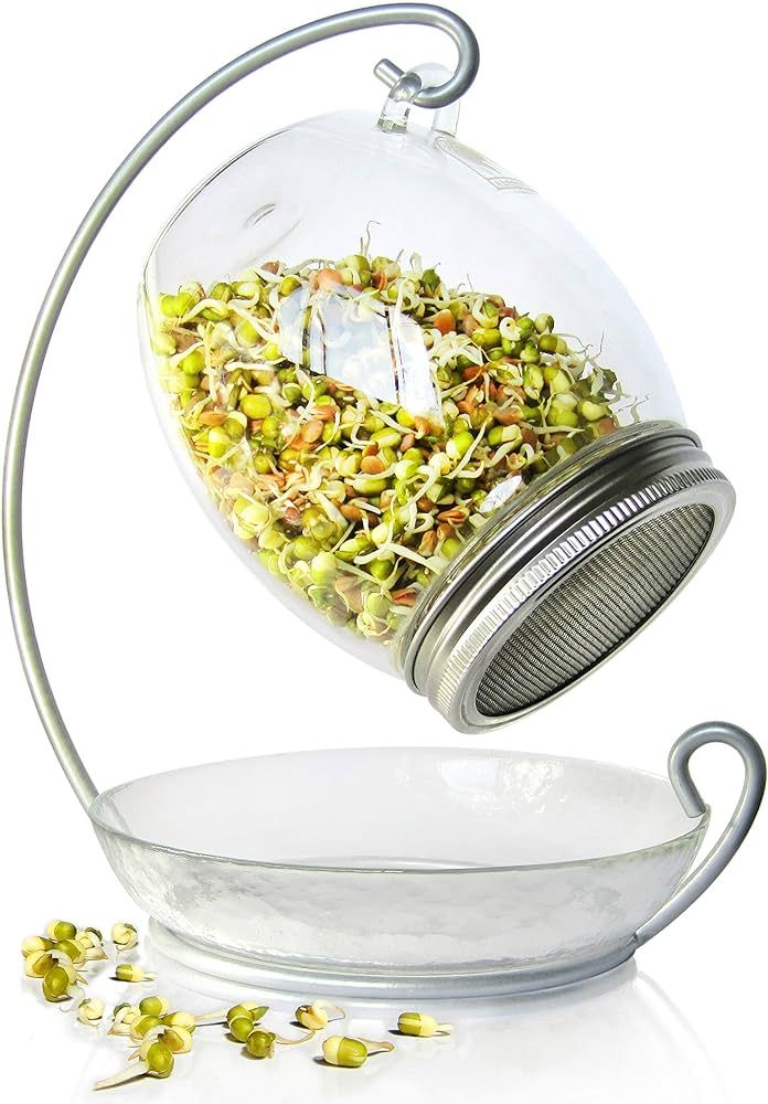 Premium Sprouting Jar Kit - Unique 30 oz Wide Mouth Sprouting Jar, Stand, Tray and 316 Stainless ... | Amazon (US)