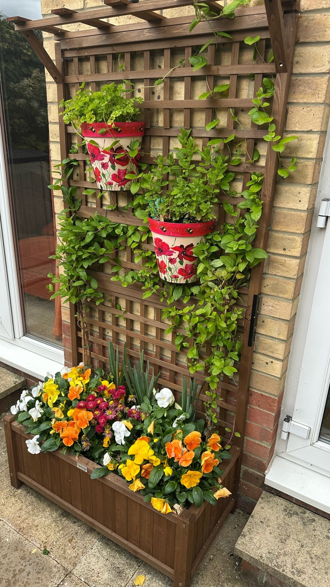 Outsunny Trellis & Planter 

.. my new Planter & Trellis is coming on nicely guys .. I’m so in love with it 

.. kindly gifted by Brand

#garden #outsideliving #planter

#LTKspring #LTKhome #LTKsummer