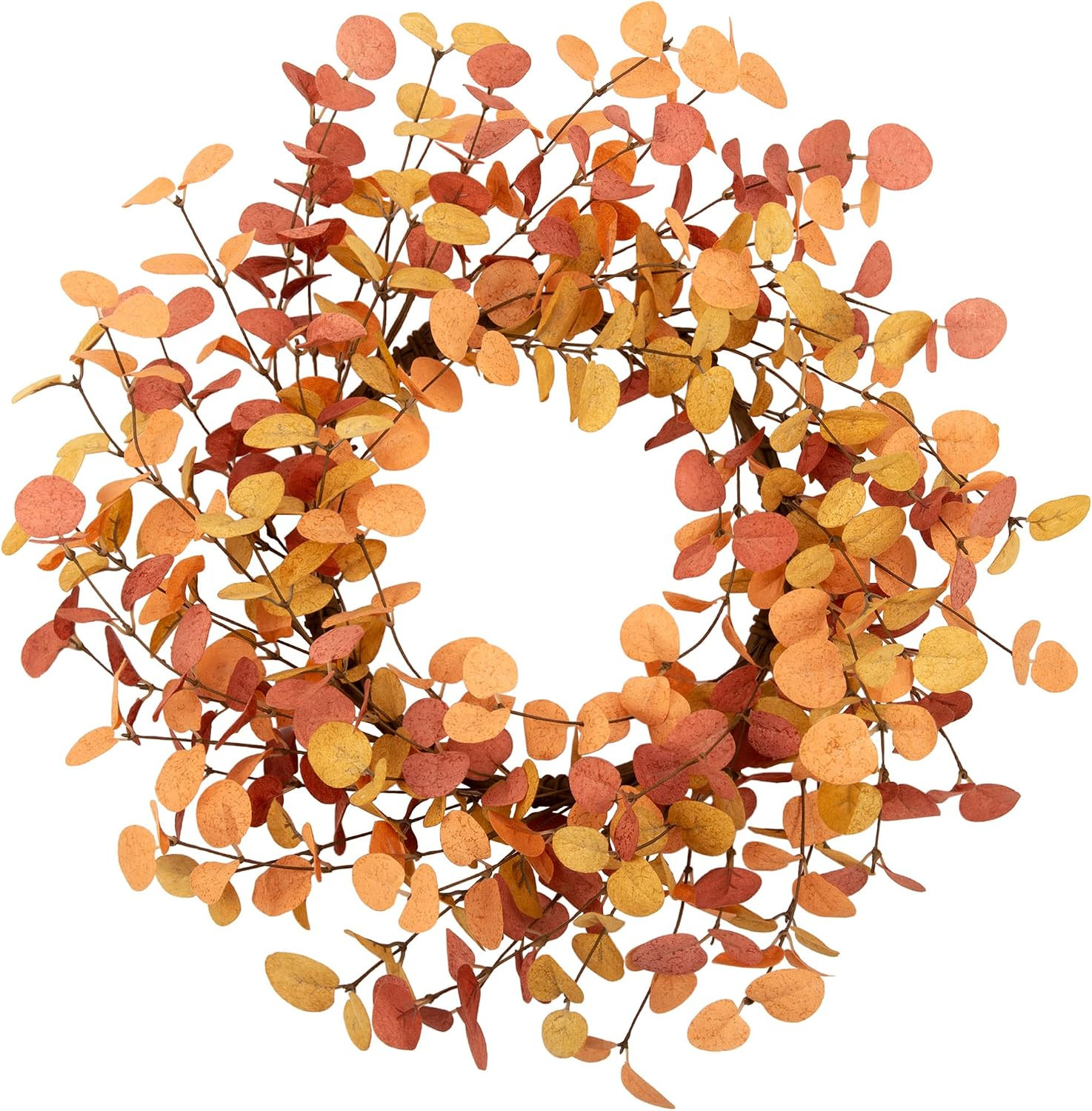 18 Inch Eucalyptus Leaves Fall Wreath - Artificial Autumn Farmhouse Wreath for Front Door, Home W... | Amazon (US)