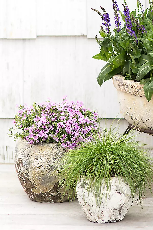 Barnacle Round Shoulder Pot | Terrain