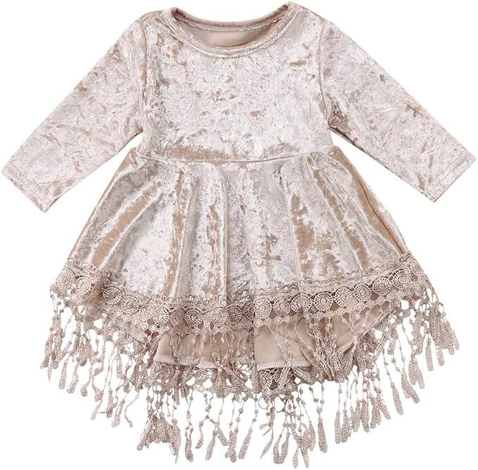 Toddler Baby Girl Vintage Princess Dress Kids Flower Girls Fall Clothes Skirt Silver Velvet Tasse... | Amazon (US)