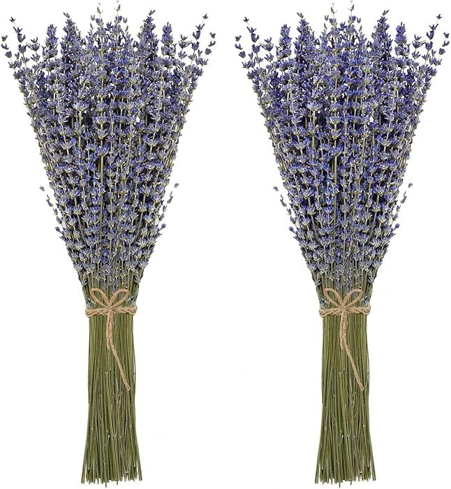 Timoo Dried Lavender Bundles 100 Natural Dried Lavender Flowers for Home Decoration, Photo Props,... | Amazon (US)