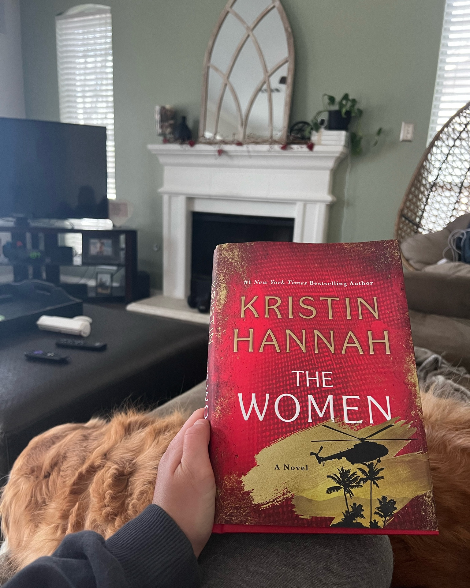 One of the best books I’ve read in years! About a nurse during the Vietnam war. 

#historicalfiction #books #reading #vacation #beachread

#LTKhome #LTKtravel #LTKfindsunder50