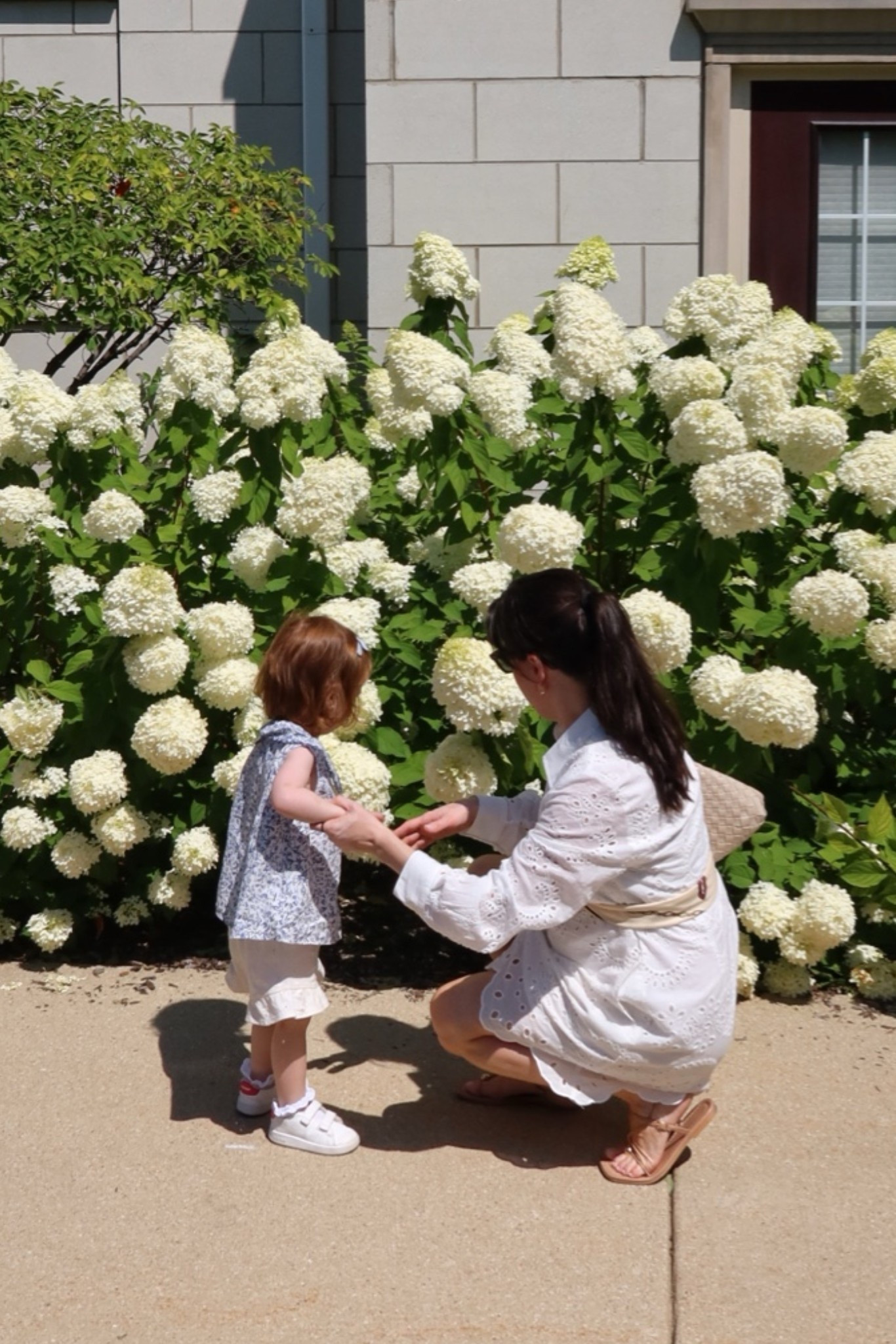 White eyelet dress, S

#LTKmomlife #LTKTravel